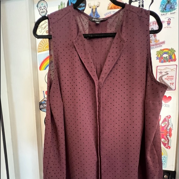 41 Hawthorn Tops - Plus Size Top
